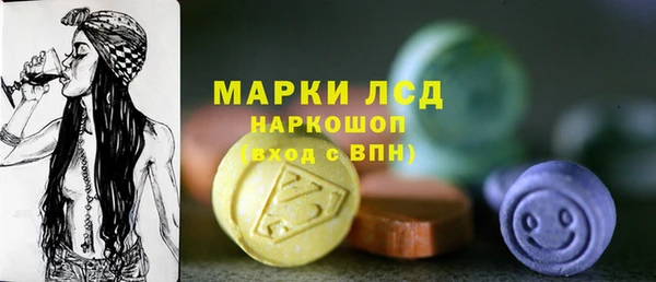 стаф Вяземский