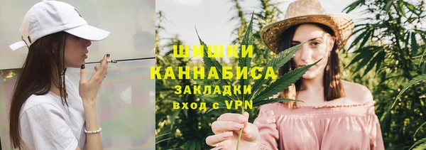 стаф Вяземский