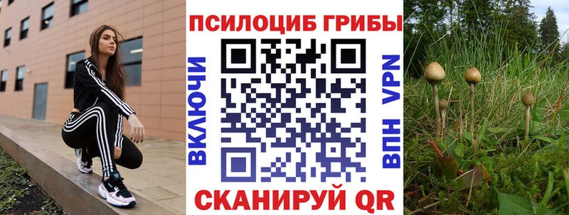 Псилоцибиновые грибы ЛСД Нахабино